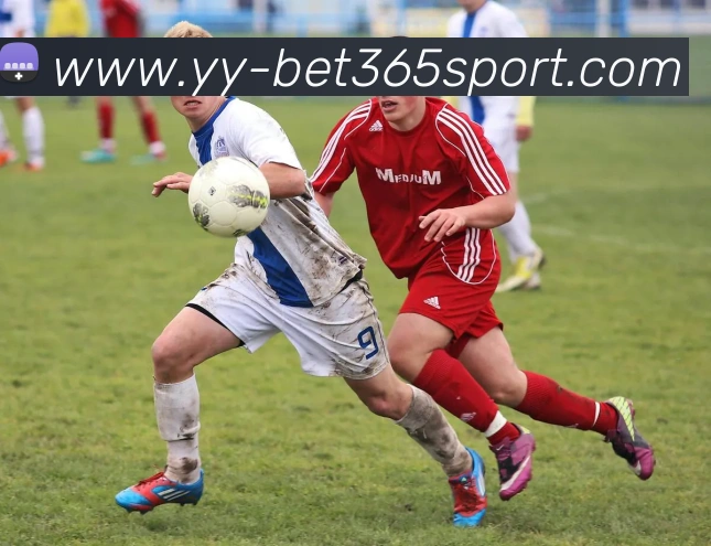 beats365体育平台生态图